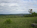 DSC08092