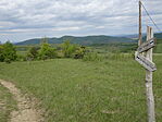 DSC08093
