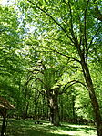 DSC08128