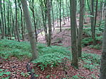 DSC08238