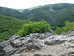DSC08249