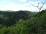 DSC08250