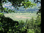 DSC08425