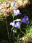 DSC08426