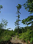 DSC08460
