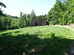 DSC08461
