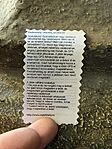 IMG_5718