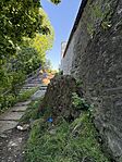 IMG_5723