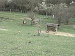 IMG_20260404_141511