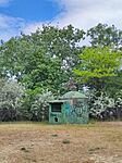 IMG_20260501_121128
