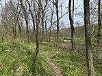 IMG_2276