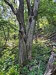 IMG_3802