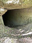 IMG_9546