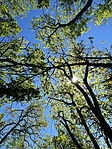 IMG_9567
