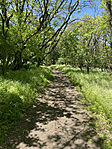 IMG_9568