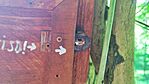 IMG_20260504_150331