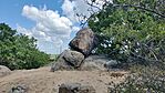 IMG_20260519_112459