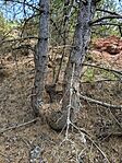 IMG_20260501_154050