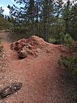 IMG_20260501_154109