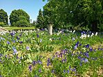 IMG_20260520_112240