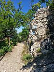 IMG_20260520_133835