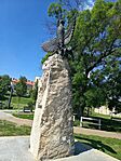 IMG_20260523_105154~2