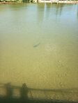 IMG_20260523_113757