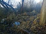 20201225_100351