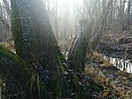 20201225_100356