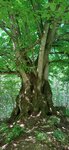 log-image-1779625789592-0