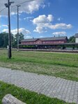 log-image-1779547168352-2
