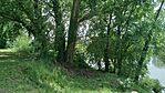 IMG_20260513_134818