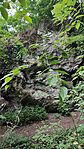 IMG_20260525_182214