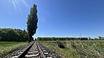 IMG_3150