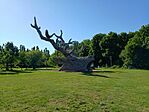 20260526_170646