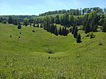 20260523_102900