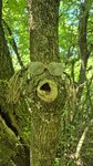 log-image-1779540428086-1