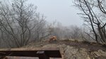 log-image-1779540666488-0