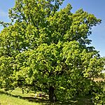 20260505_104427