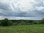 IMG_3380