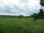 IMG_3387