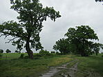 IMG_3461