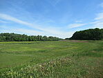 IMG_3541