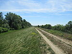 IMG_3551