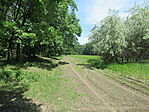 IMG_3560