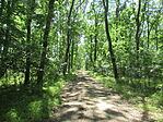 IMG_3584