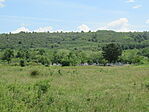 IMG_3615