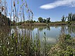 IMG_1732