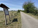 IMG_1975