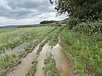 IMG_2185